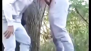 Safados fudendo no mato