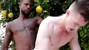 Gigantic bbc penetrates gay asshole - reign , grant-in-aid ducati
