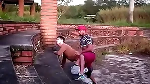 Mamando bantam parque
